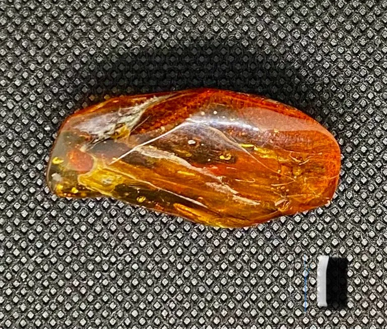 Baltic Amber Brooch/Pin (1716)